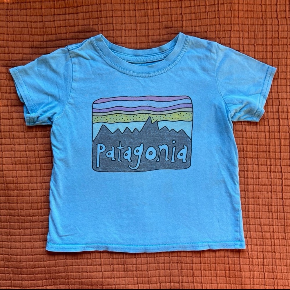 Patagonia Kids Blue Mountain Graphic Tee